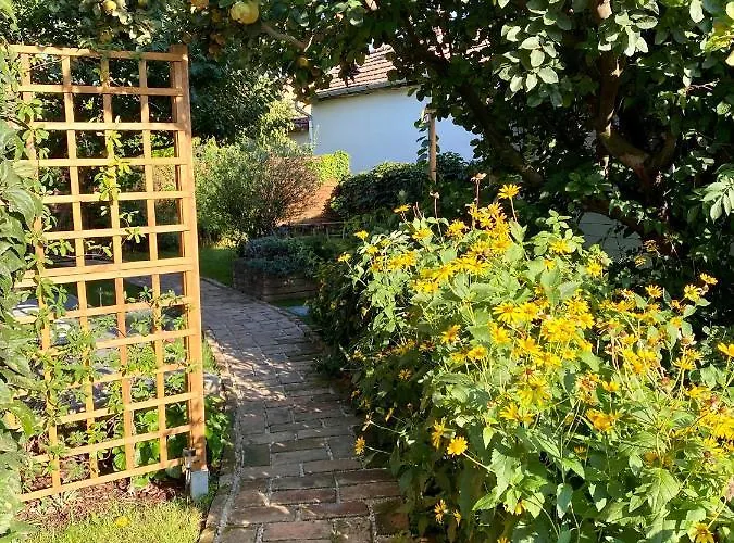 Vuko Vendeghaz * Balatonboglar